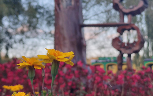 沈陽勞務(wù)工傷外包公司解析工商外包的主要內(nèi)容